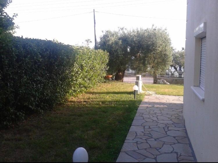 ניאה סקיוני Sofia Studios מראה חיצוני תמונה